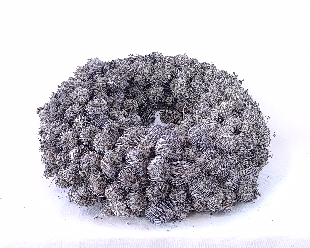 Naturkranz "Ammi majus"